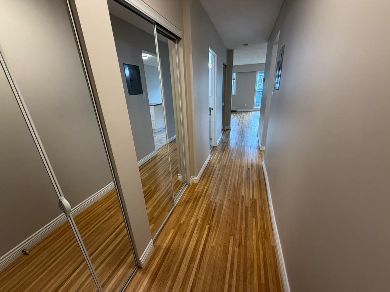 1617 Graveley Street #206 - Photo 6 of 18