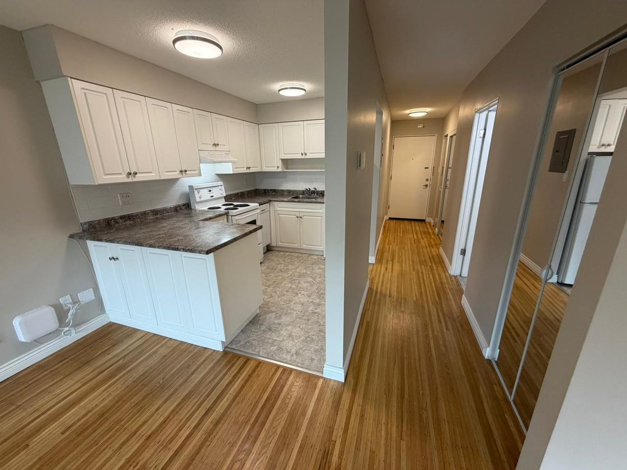 1617 Graveley Street #206 - Photo 4 of 18
