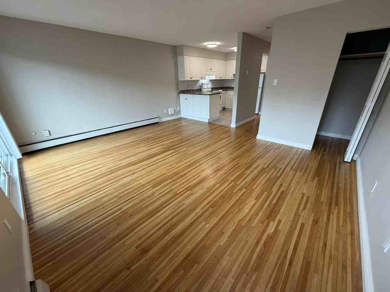 1617 Graveley Street #206 - Photo 5 of 18