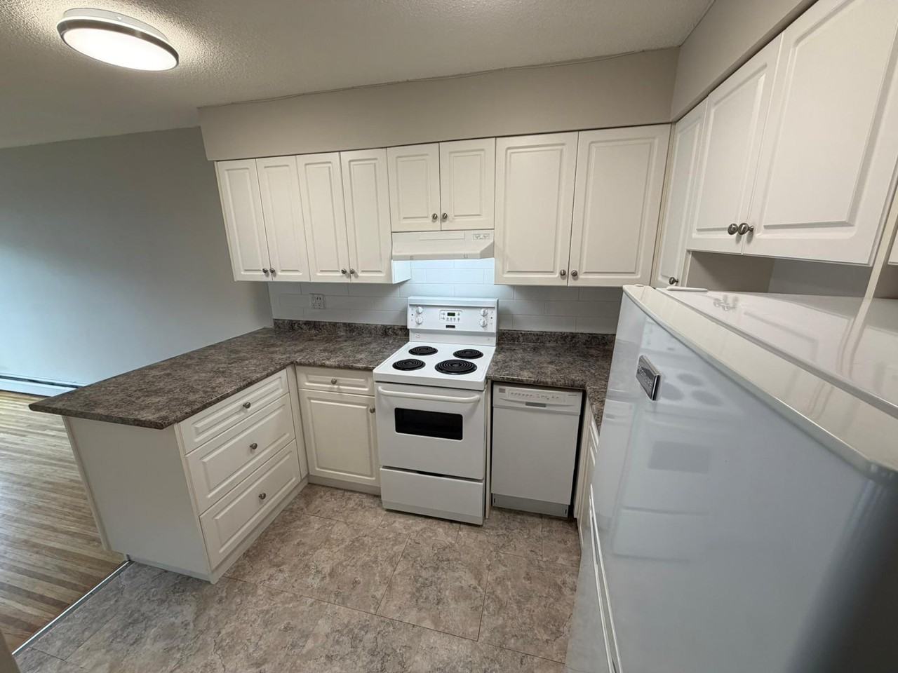 1617 Graveley Street #206 - Photo 7 of 18