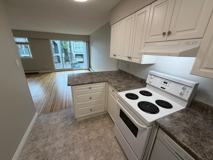1617 Graveley Street #206 - Photo 1 of 1