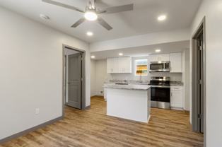 Edison -Ferris - Photo 1 of 1