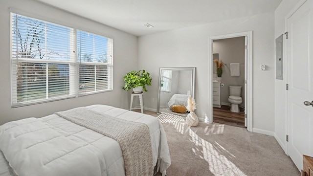 2935 Winterberry Dr #NA - Photo 6 of 19