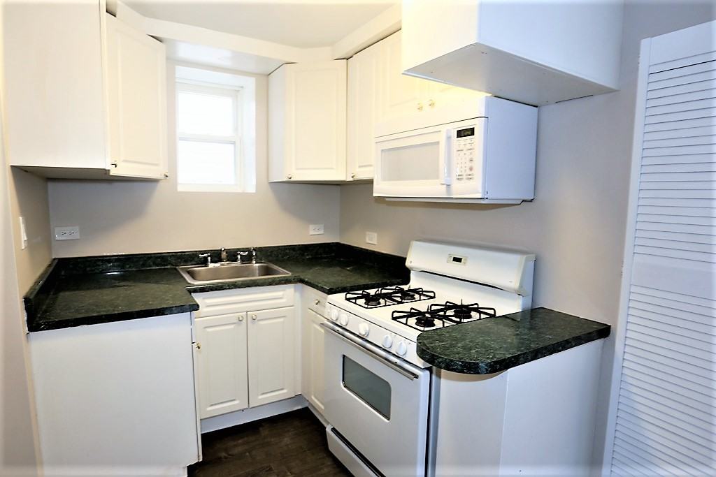 3517 3517 21 W. Grace St. #3517-1W - Photo 4 of 17