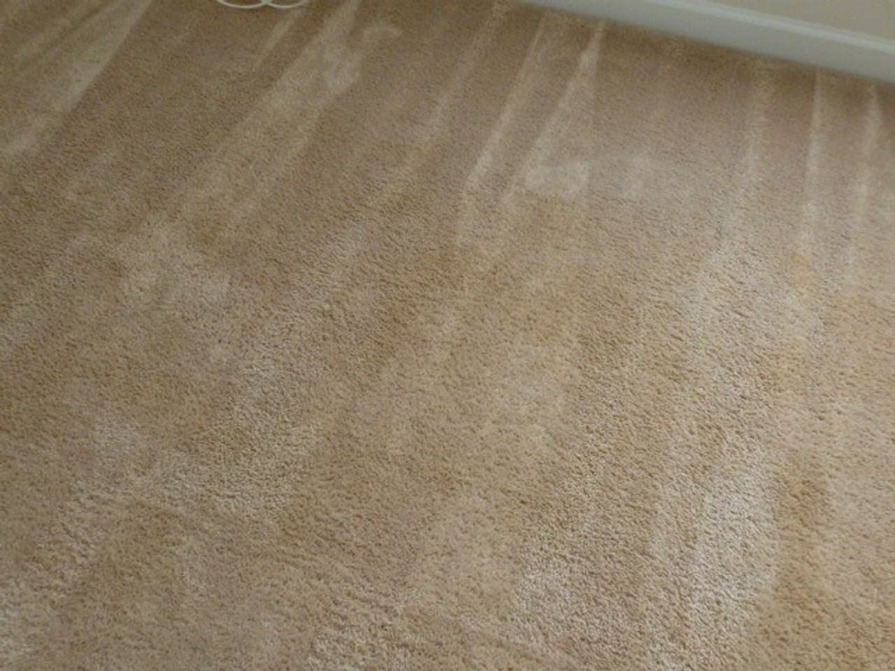 865 Barn Owl Ct - Photo 7 of 22