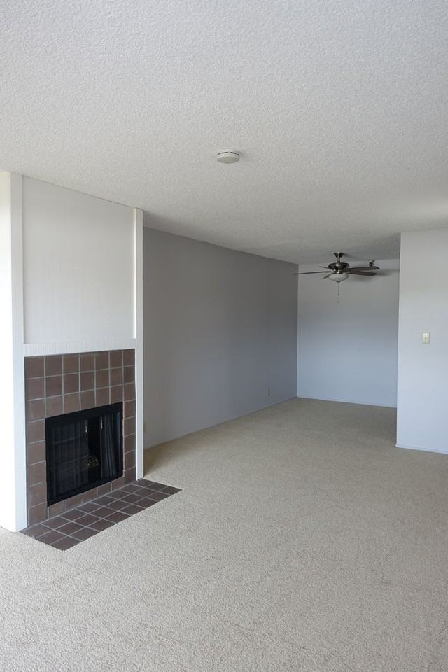 400 Ortega Ave #316B - Photo 5 of 12
