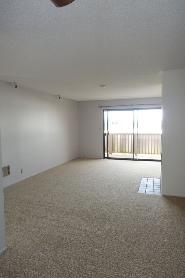400 Ortega Ave #316B - Photo 6 of 12