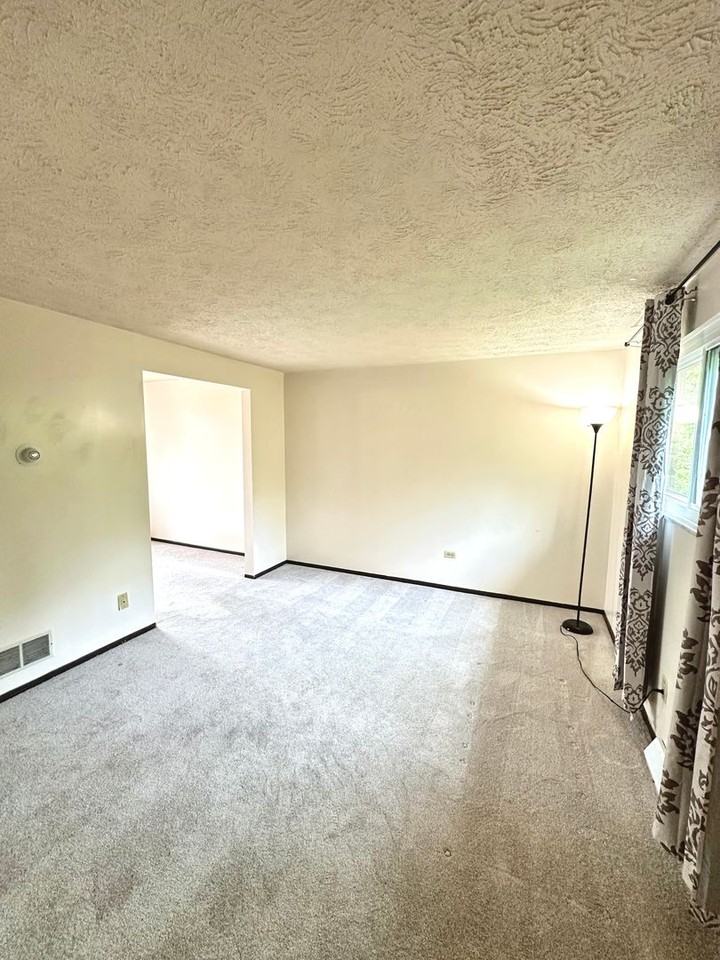 3830 Lebanon Church Rd - Photo 2 of 12