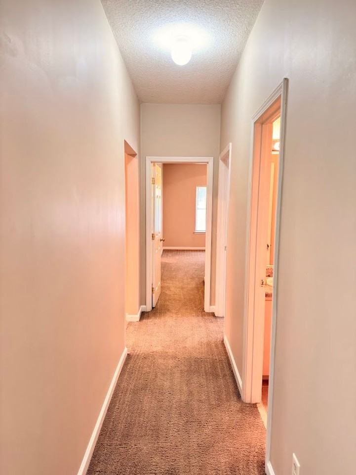 123 Magnolia Ct - Photo 6 of 18