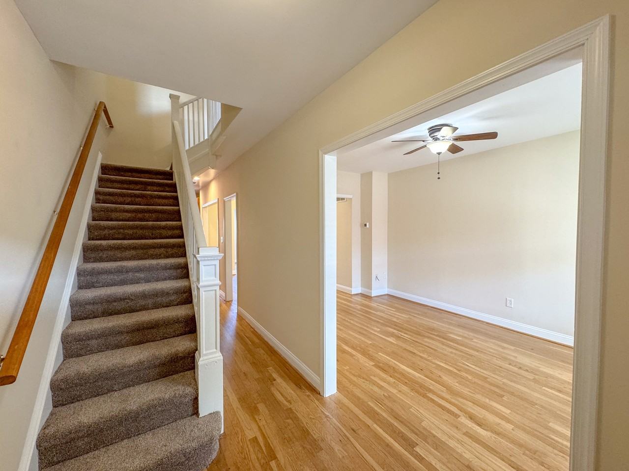 1215 Staples St Ne #1 - Photo 5 of 44