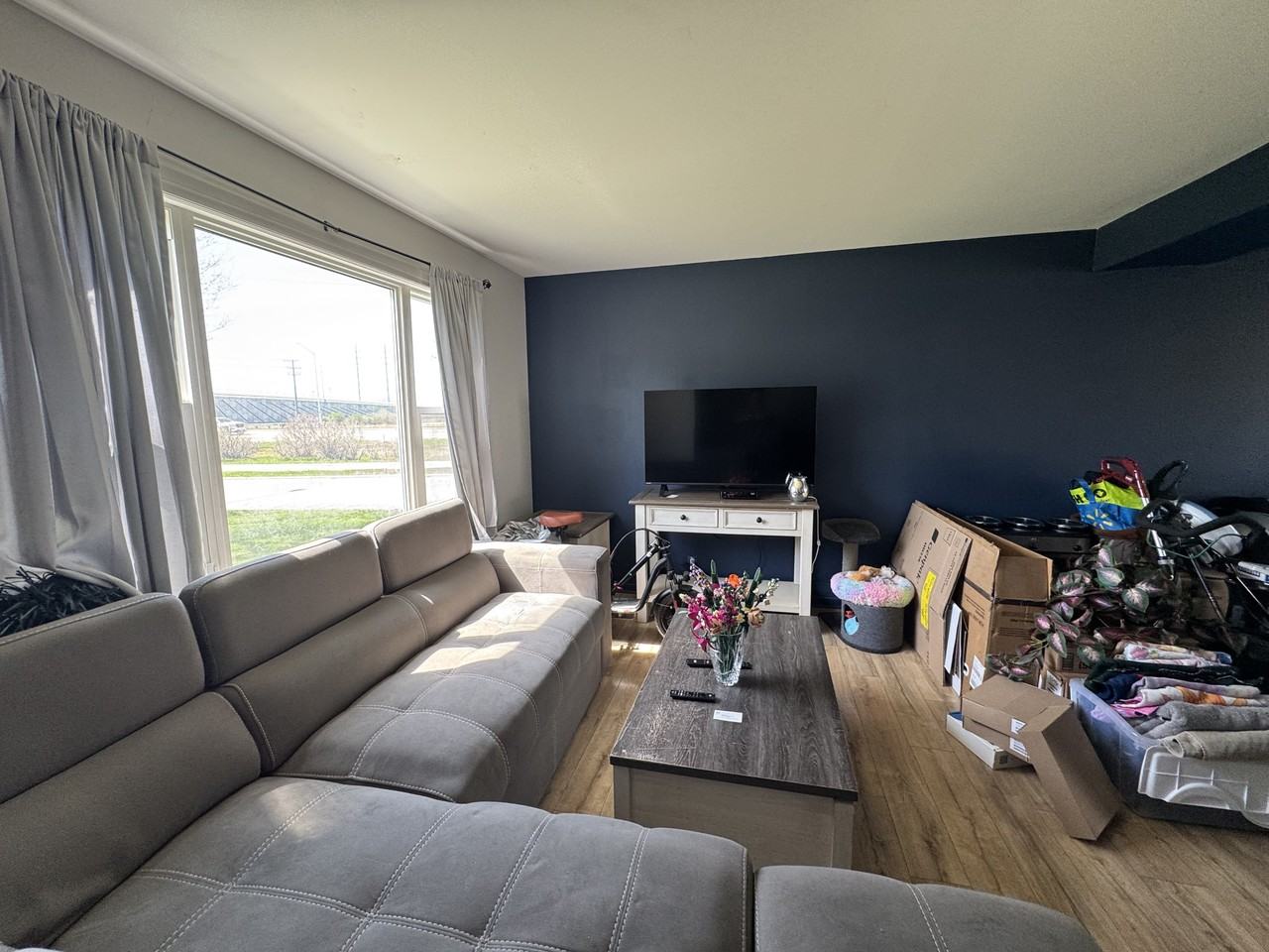 2 Vincent Street - Photo 4 of 31