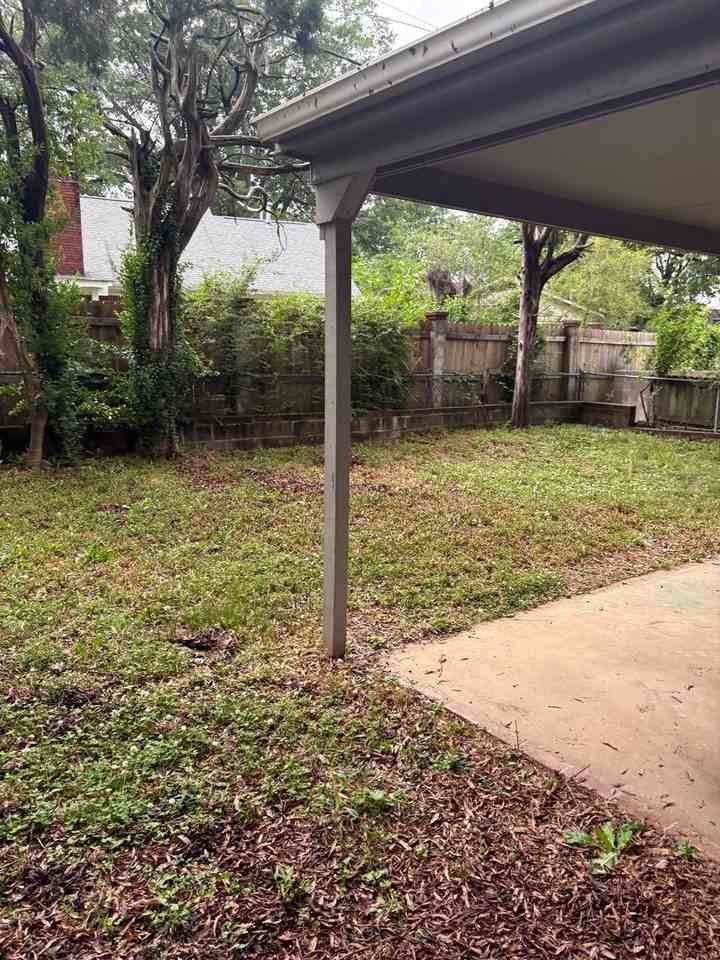 3293 S Perkins Rd - Photo 3 of 16
