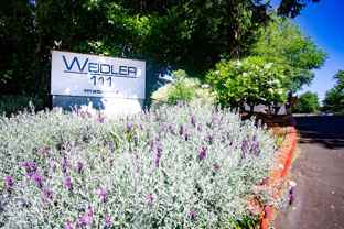 307 - Weidler 111 - Photo 1 of 1