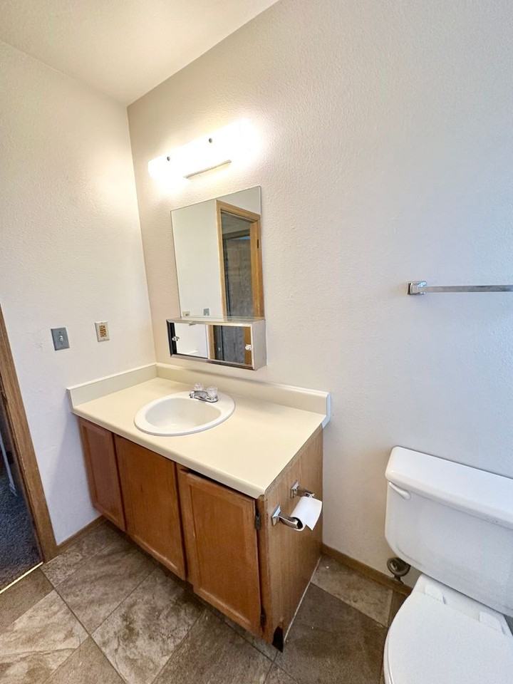 1329 Soaring Eagle Dr - Photo 6 of 15