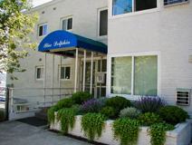 Blue Dolphin - Photo 1 of 1
