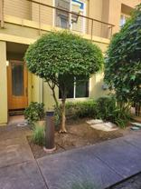 338 City Center Dr - Photo 1 of 1