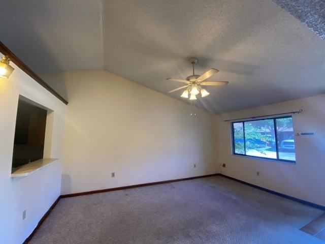 1255 Shady Pines Ln - Photo 4 of 7