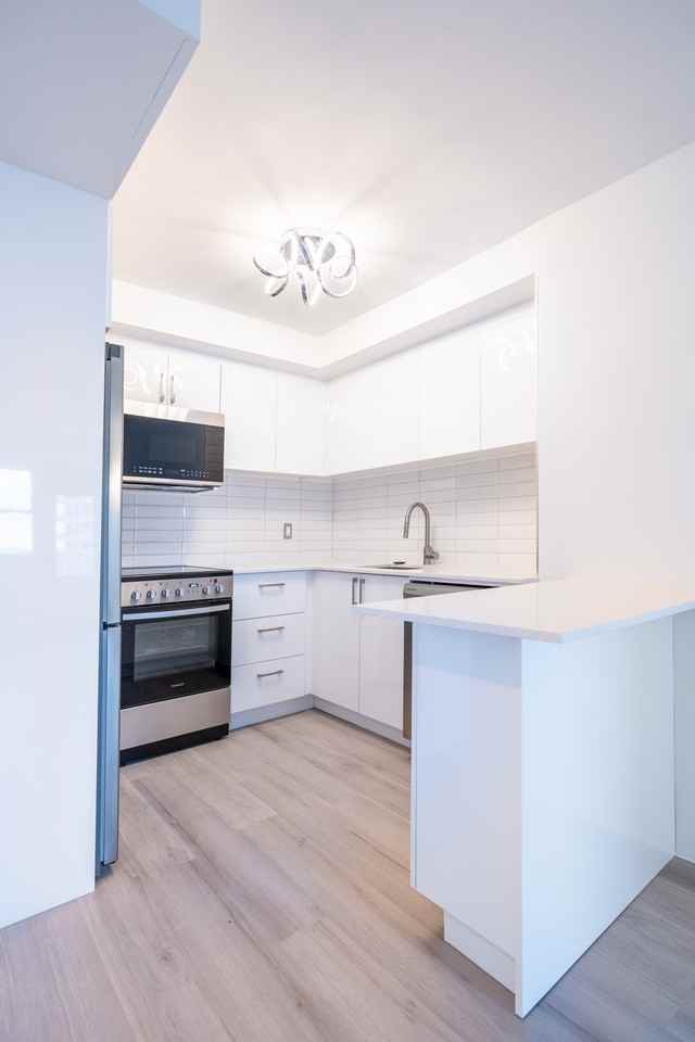 1225 Rue Du Sussex — photo 3