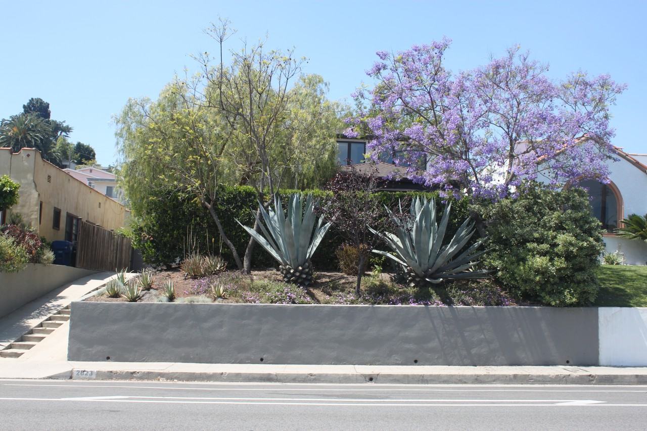 2823 Griffith Park Blvd #NA - Photo 3 of 32