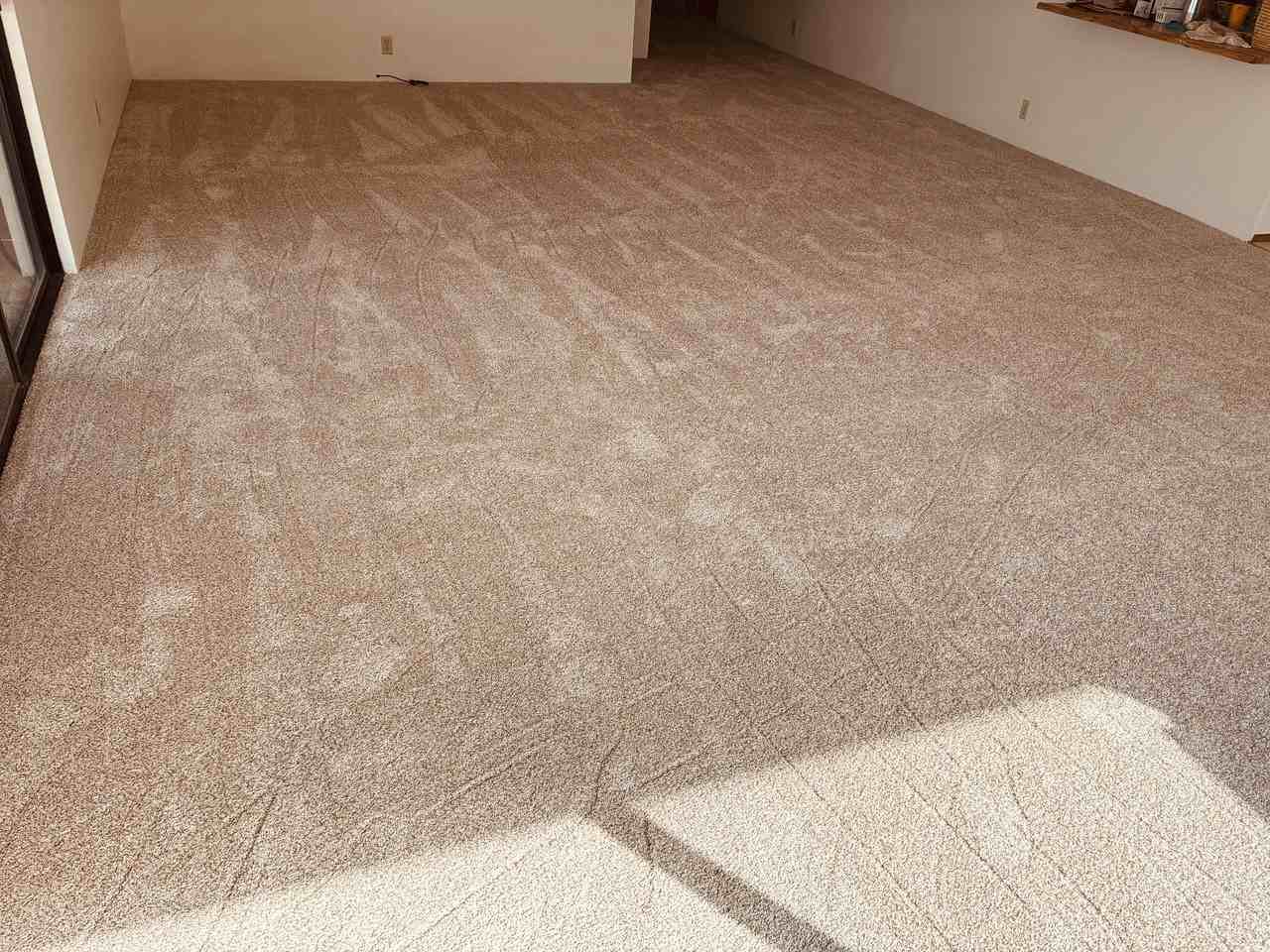 3311 Mapu Pl #2 - Photo 4 of 21