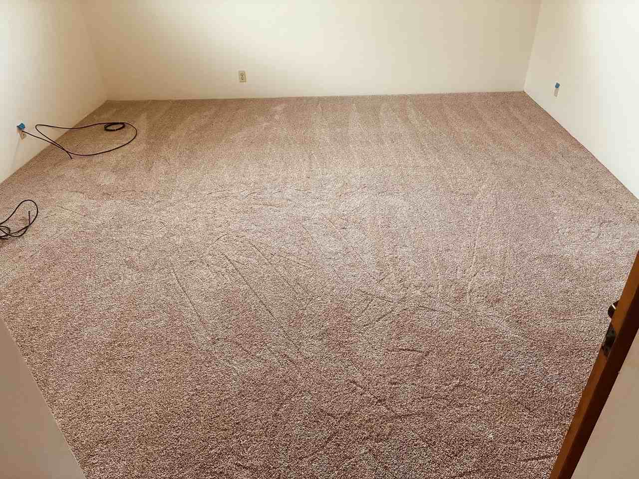 3311 Mapu Pl #2 - Photo 7 of 21