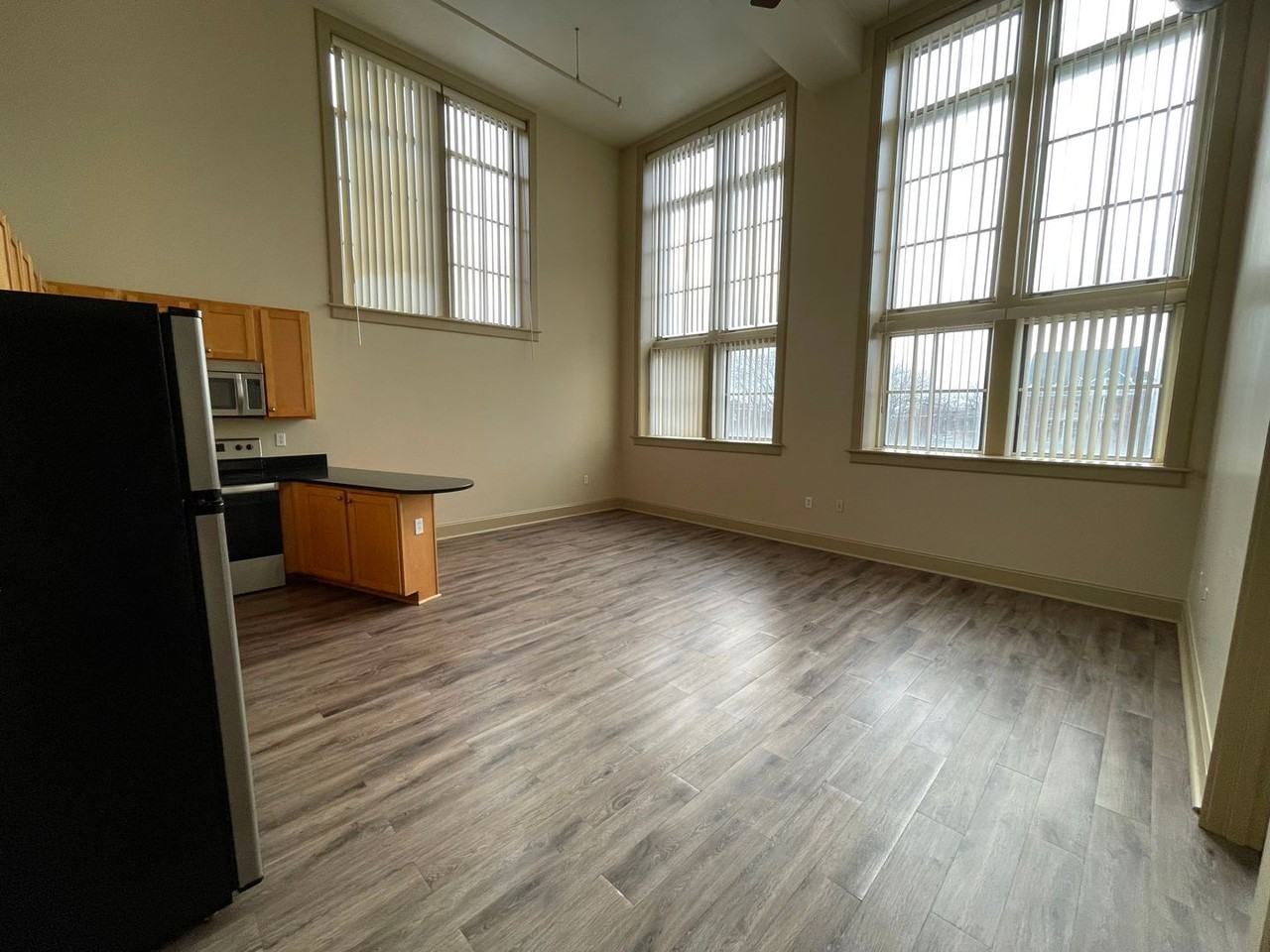 Theresa Park Loft Apartments - Photo 6 of 31