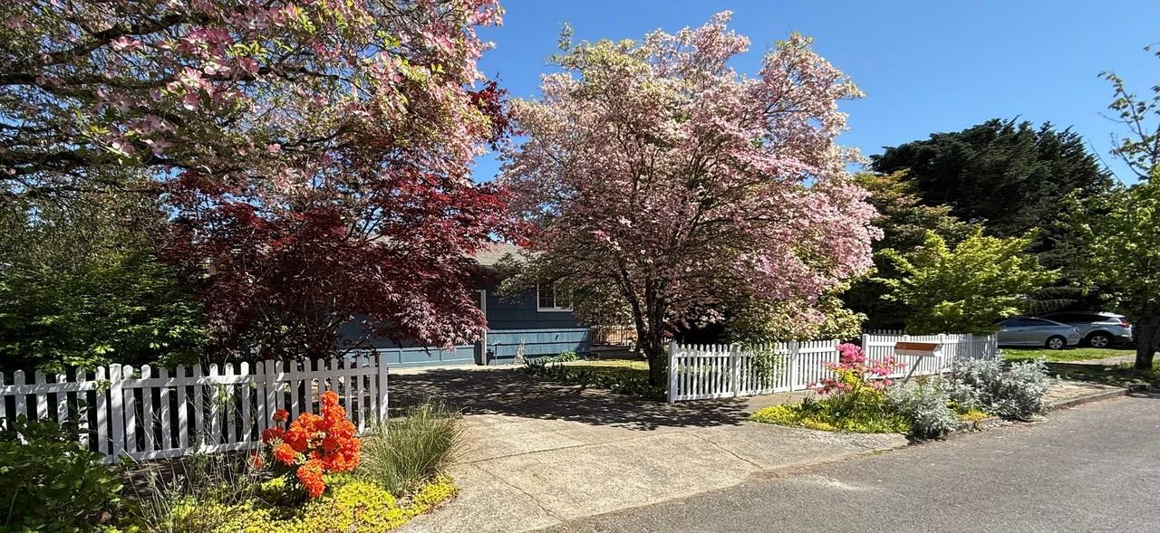 906 Se 165th Ave - Photo 4 of 35