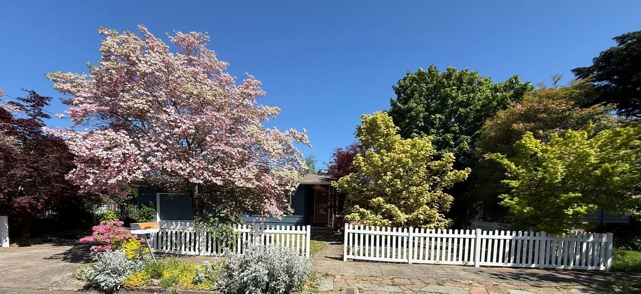 906 Se 165th Ave - Photo 5 of 35