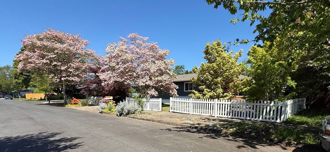 906 Se 165th Ave - Photo 6 of 35