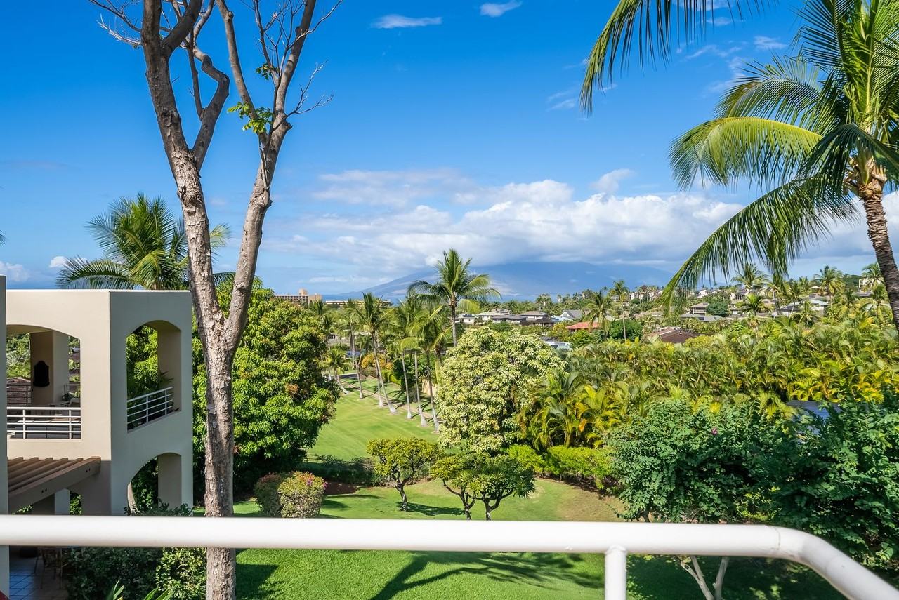 3150 3150 Wailea Alanui 3508 - Photo 5 of 37