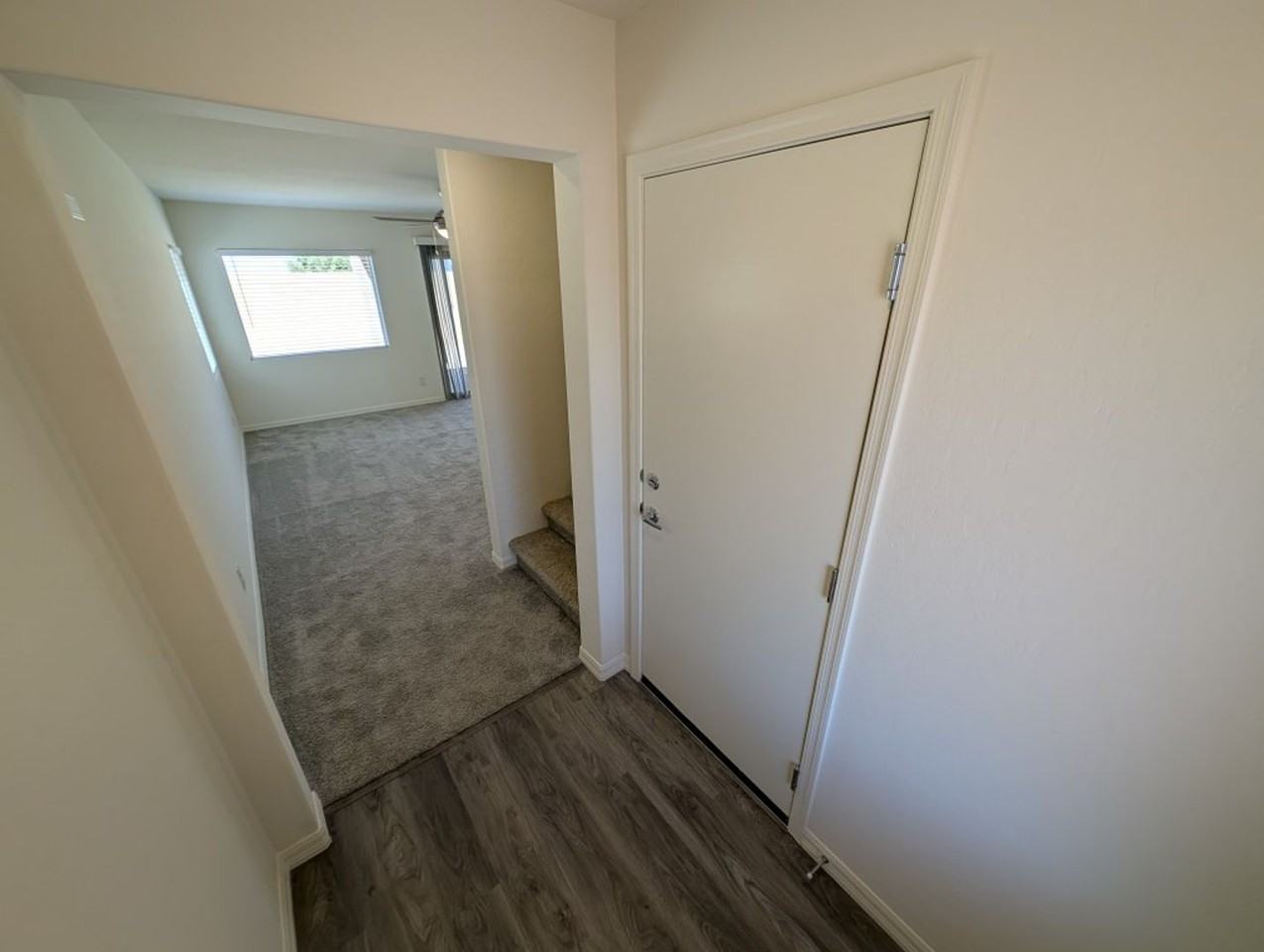 4935 Toad Lily St - Photo 2 of 23