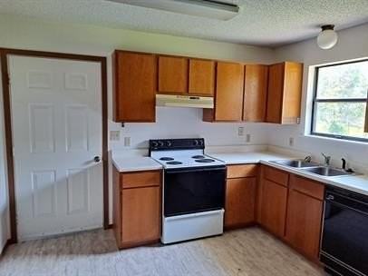 313 Mckennon Ct - Photo 4 of 14