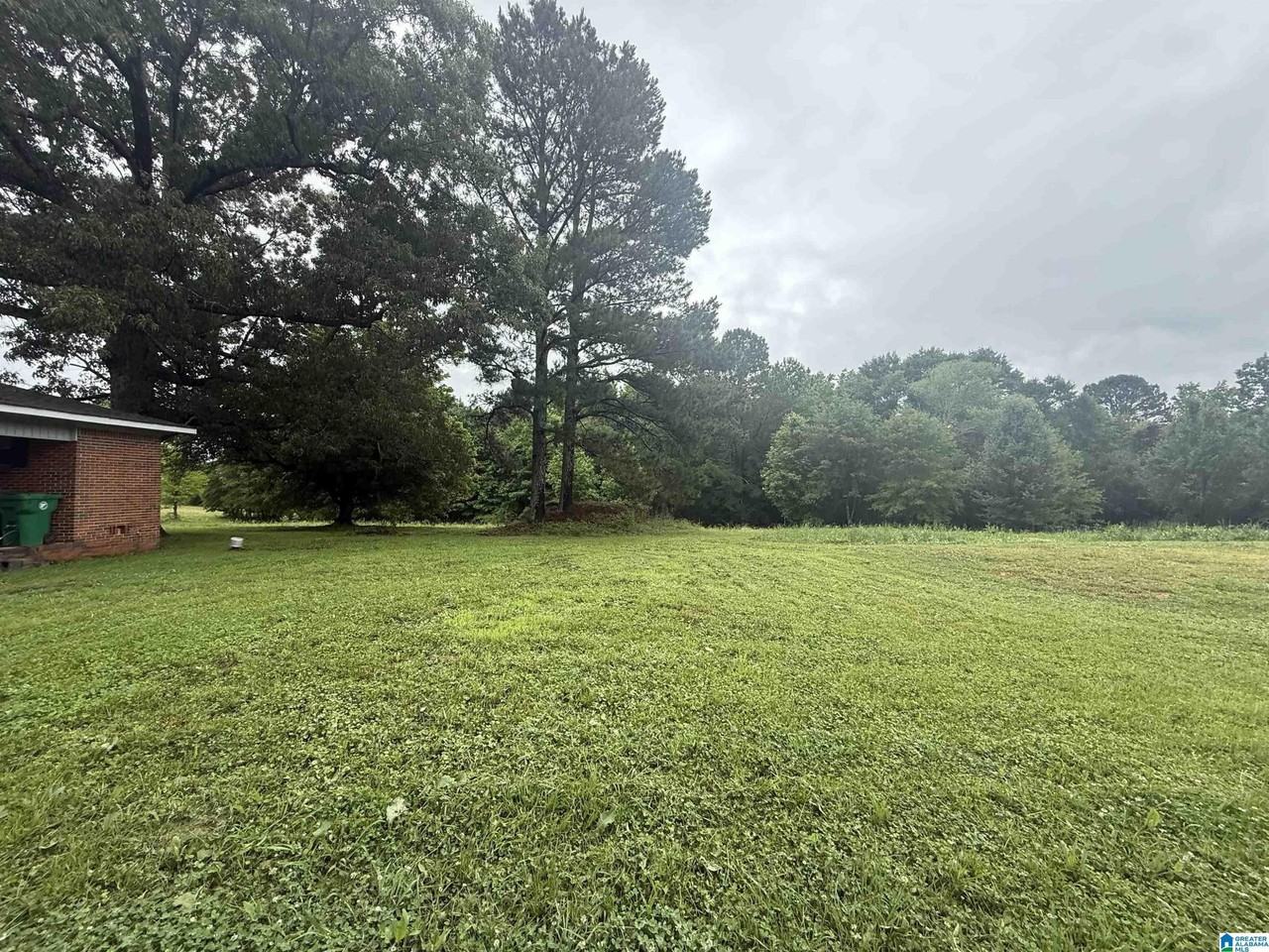 337 County Road 555 - Photo 3 of 20