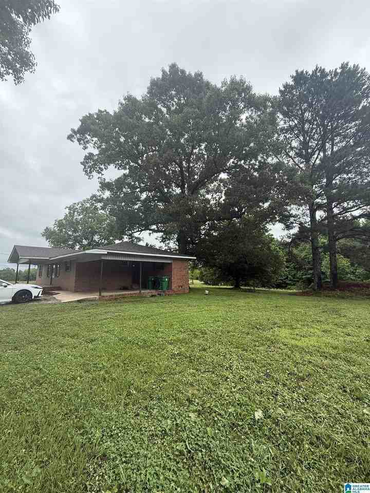 337 County Road 555 - Photo 4 of 20