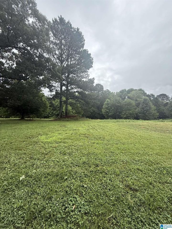 337 County Road 555 - Photo 5 of 20