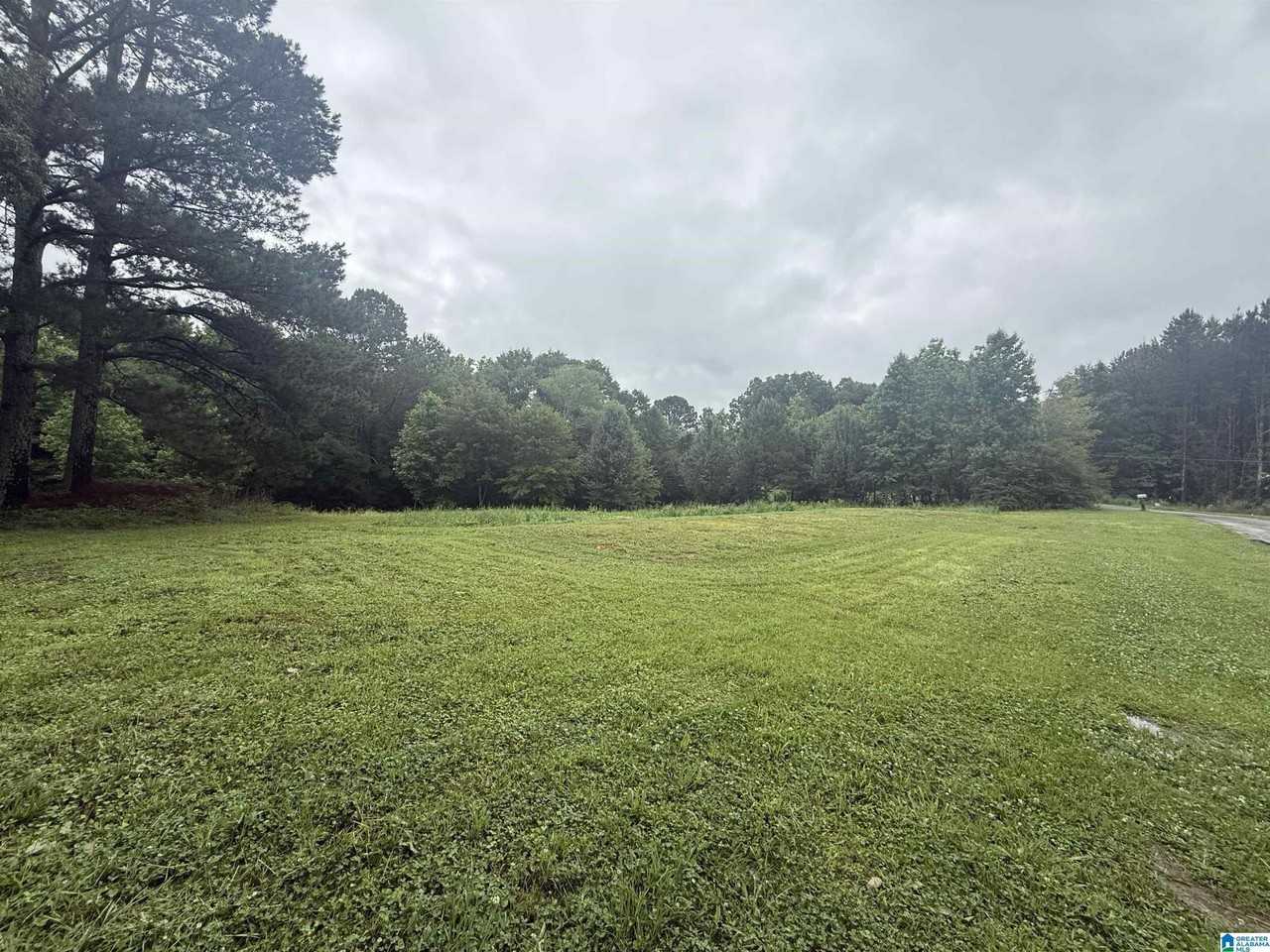 337 County Road 555 - Photo 6 of 20