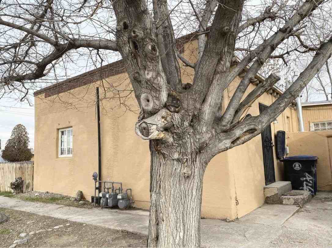 426 Headingly Ave Nw #B - Photo 5 of 5