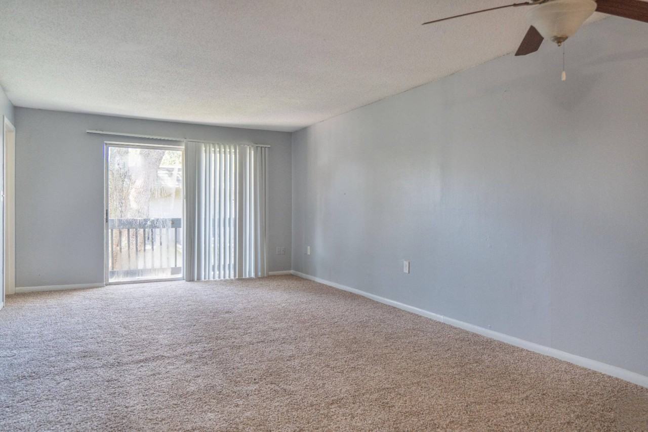 The Grove at Temple Terrace Apartments - Photo 7 of 28