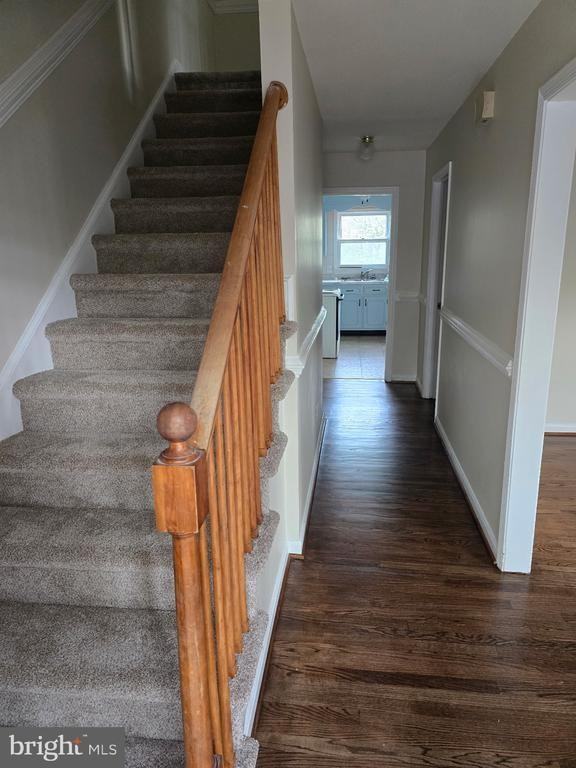 439 Ridgemore St - Photo 2 of 17