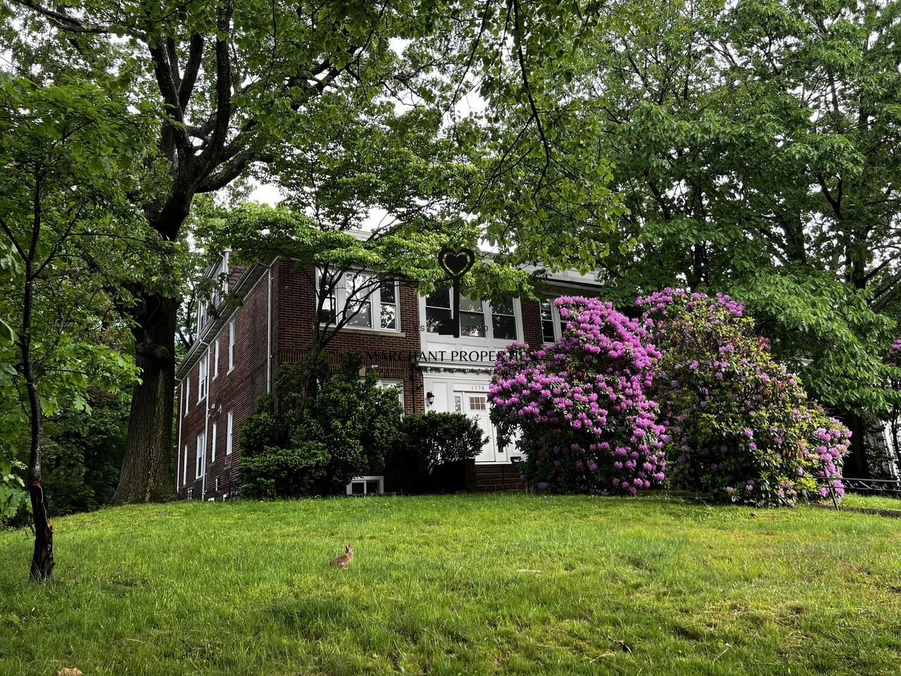 1778 Commonwealth Ave #3 - Photo 7 of 22