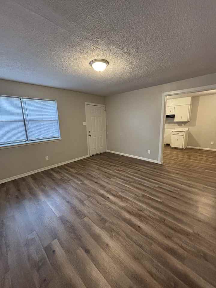 1301 Liberty Dr - Photo 4 of 19