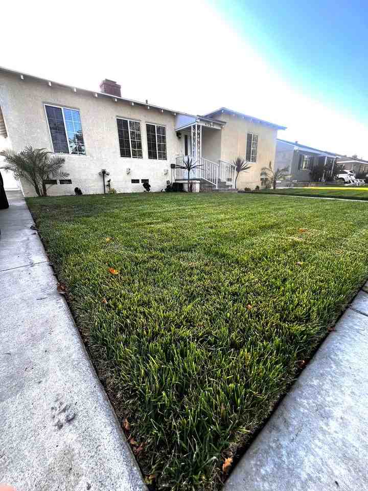 4139 Keever Ave - Photo 2 of 50