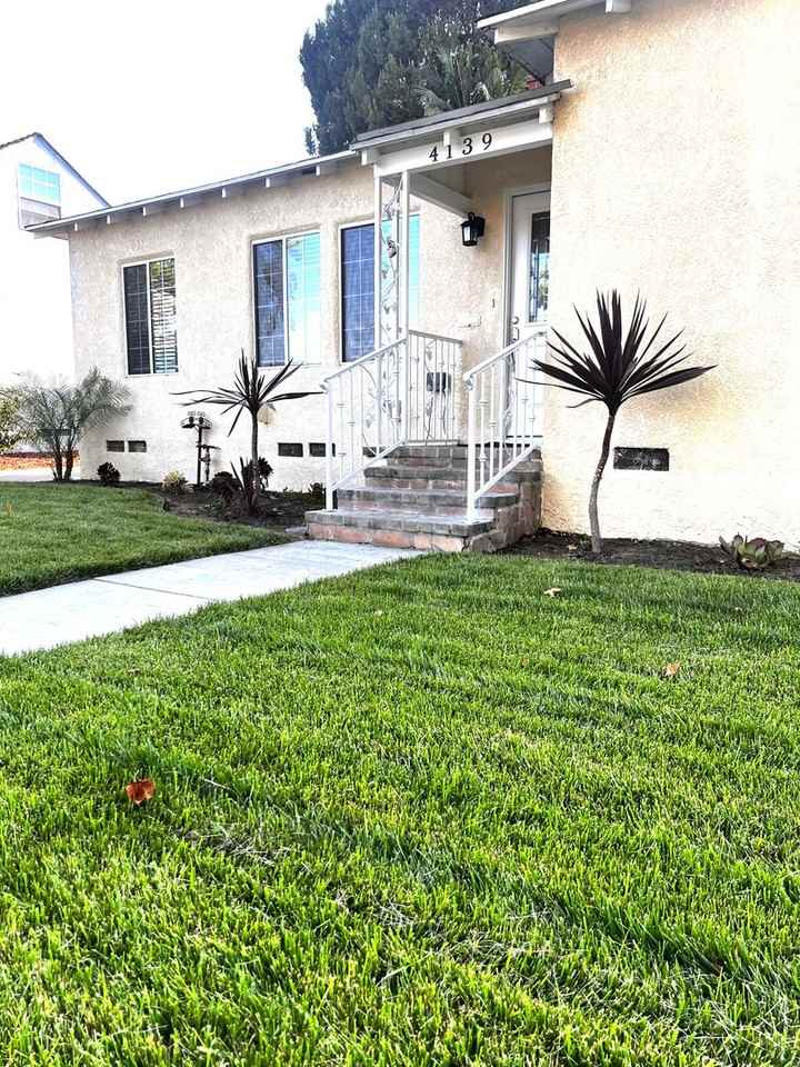 4139 Keever Ave - Photo 3 of 50
