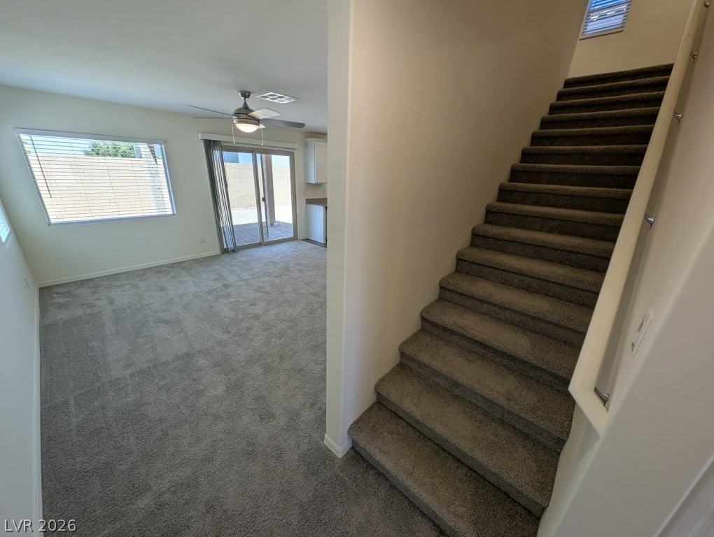 4935 Toad Lily St - Photo 3 of 23