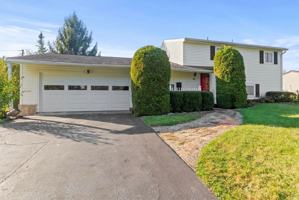 featured image of 37 Armbruster Rd