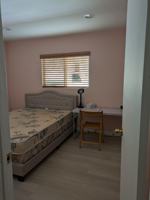 featured image of 169 Poinsettia Ave