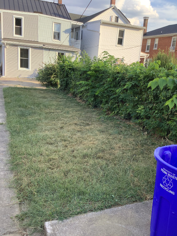 407 Herman Ave - Photo 3 of 30