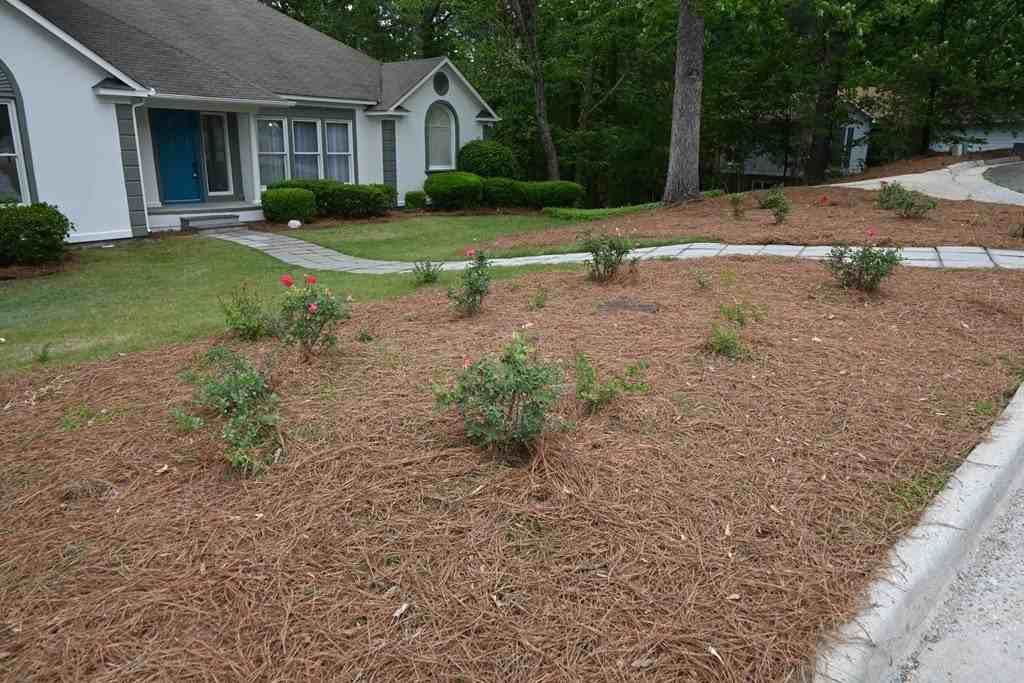 19 Nettle Ct - Photo 5 of 50