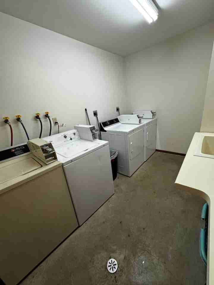 558 Braund St - Photo 5 of 6