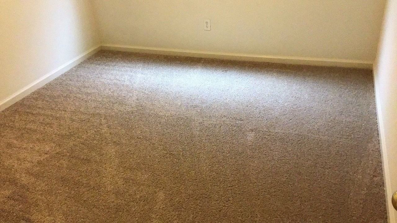 1014 Arbor Dr #1 - Photo 7 of 13